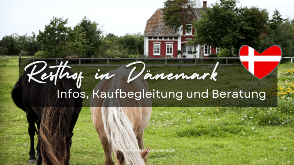 Zwei Pferde vor einem schönen Resthof in Dänemark zum kaufen