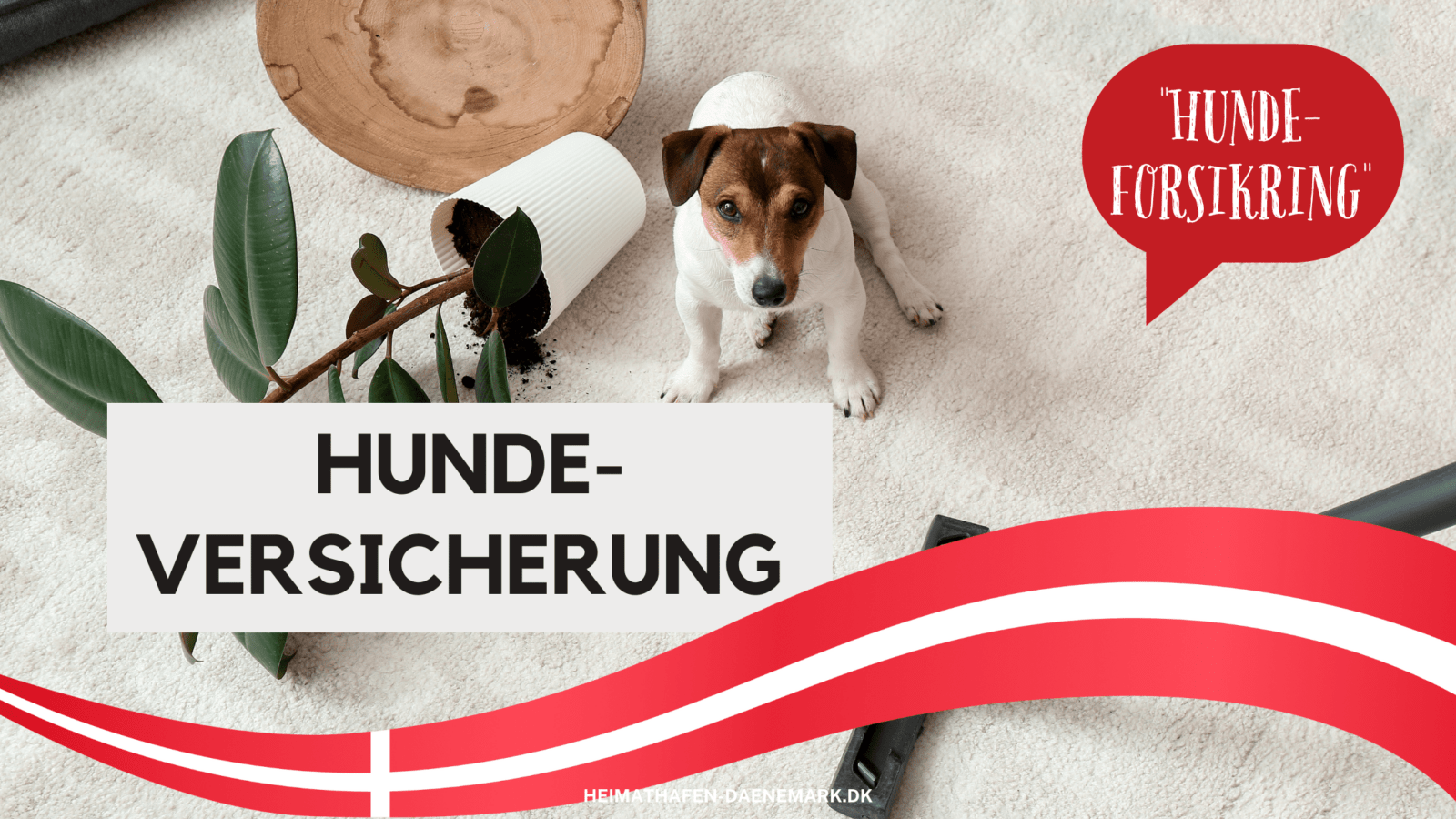 Hundeversicherung Ein kleiner Hund hat in einem dänischen Wohnzimmer mit einer umgefallener Pflanze auf dem Boden einen Sachschaden angerichtet, die seine Hundehaftpflichtversicherung deckt.